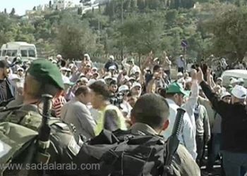 المستوطنون الإسرائيليون يقتحمون الأقصى وتحذير من تقسيمه