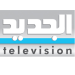 المحكمة الدولية تقرر مقاضاة قناة الجديد وكرمى الخياط في الوقت ذاته