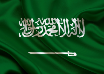 الجوازات: بدء استقبال طلبات الإقامة الدائمة للأجنبيات أمهات السعوديين
