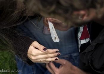 لبنان.. جنبلاط يدعو للسماح بزراعة الحشيش