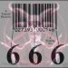 الرقاقة 666