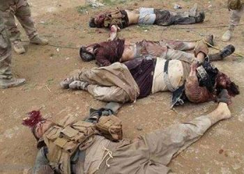 مقتل 16 داعشيا بينهم قيادات بارزة