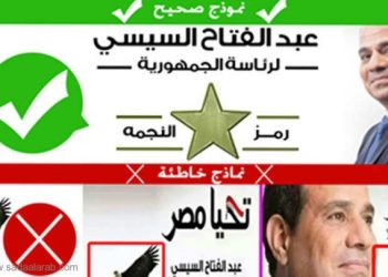 "أغرب تزوير" بانتخابات مصر.. "نسر" صباحي على لافتات السيسي