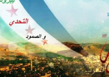 الجيش السوري استعمل اسلحة حرارية  للسيطرة على يبرود