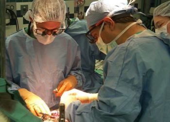 انخفاض التبرع بالأعضاء فى ألمانيا