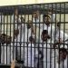 أحكام جديدة بإعدام المئات في مصر