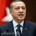 أردوغان يقول إن أكراد سورية لا يريدون البيشمركة في عين العرب