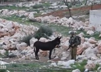 سلاح جديد لحماس في غزة؟ استعمل ففي لبنان من قبل