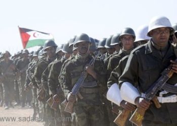 البوليساريو : سنعود الى الكفاح المسلح