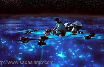 الضوء البارد أو الضوء الحيوي Bioluminescence)