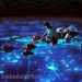 الضوء البارد أو الضوء الحيوي Bioluminescence)