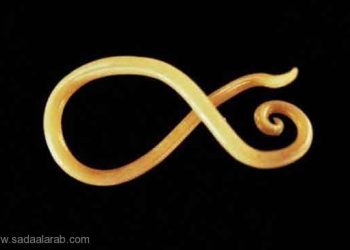 أمريكية تغذي ابنتها على الديدان