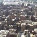 تعود المصري أن تلسعه كل حكوماته على مدى آلاف السنين، لذلك هو لا يصدق الآن أن حكومته تقدم له الآن الزبادي