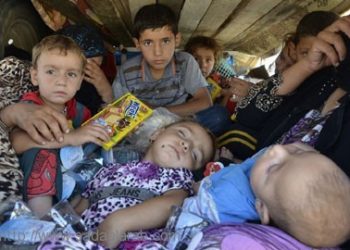 30 ألف نازح عراقي مُعرّضون للإبادة ! دول غربيّة سترسل أسلحة لمحاربة داعش