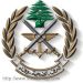 الجيش: ما جرى ويجري اليوم، يعد أخطر ما تعرض له لبنان واللبنانيون