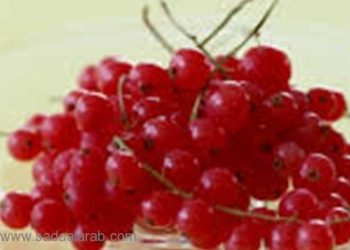 الكرز يسكن آلام العظام ويقاوم التهابات المفاصل