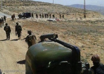 لماذا رنكوس وماذا بعدها ؟!