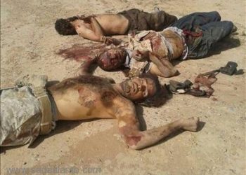 معركة بريتال درس قاسٍ للتكفيريين