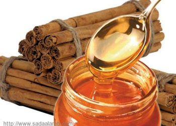 لن تصدق ما هي فوائد العسل والقرفة المذهلة!!