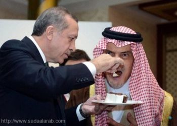 اردوغان ينتقم لسقوط الإخوان بـ«قلب نظام الحكم في السعودية والامارات»