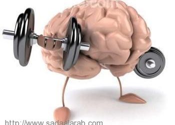 هل ترغب في ذاكرة قوية ؟ فقط استنشق الروائح التالية