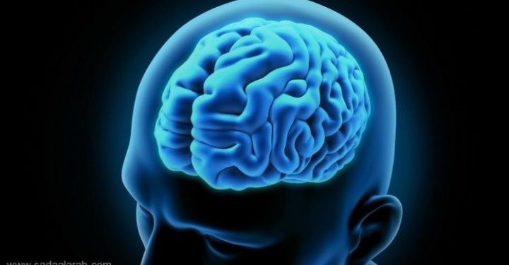 الأفلام الإباحية والإكتئاب وقلة النوم.. عوامل تؤدي إلى تقلص الدماغ