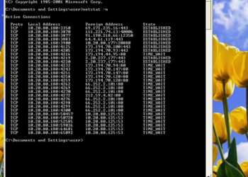 كيف تعرف إذا كان حاسوبك مخترقا أم لا؟