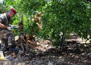 لبنان بين الصواريخ ومعارك الحدود