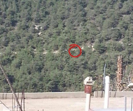 ماذا يجري في وادي خالد ولماذا انتقل العميد روكز الى عكار؟