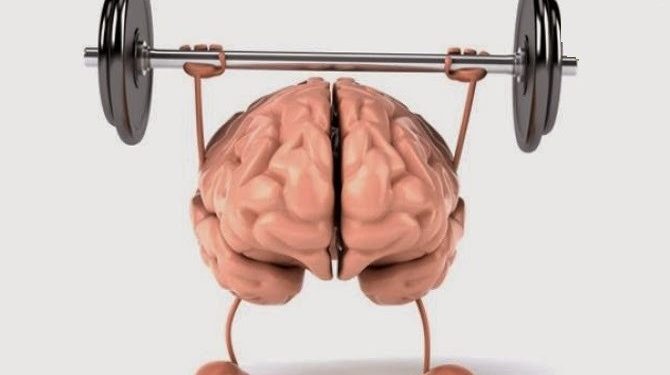 ما هي الأطعمة التي تساعد على التركيز وتنشيط الذاكرة؟