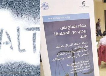 الملح.. السم الأبيض في الأطعمة الشرق أوسطية