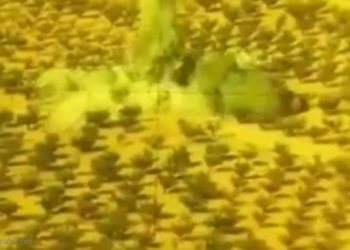 فيديو: طائرة استطلاع لحزب الله تستهدف المسلحين في جرود عرسال