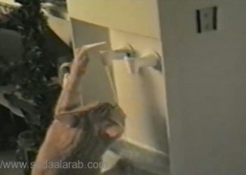 بالفيديو.. قطة تشرب من برّاد الماء على طريقتها الخاصة