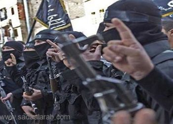 جنبلاط والفزع القاتل فتح جبهة العرقوب لن تشفع فيه