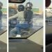 بالفيديو فتاة ترتدي زي رجالي وتركب دراجة في السعودية