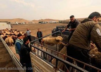 مسح حكومي يقرأ تحسن الوضع الأمني