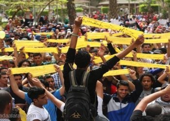 مصر: الوطن السلفي ينسحب من تحالف دعم الشرعية