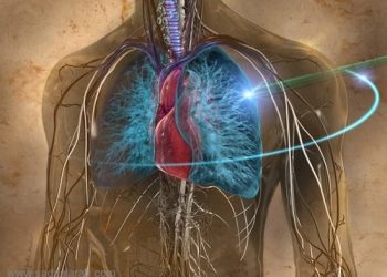 لهذه الأسباب لا يصاب القلب...بالسرطان