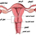 5 أسباب وراء العقم عند المرأة