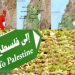 استراتيجيّات غير مُتوقّعة تقضي بالتوغل في الجليل الفلسطيني المحتلّ؟ جنرال في المخابرات الإسرائيليّة : حزب الله قد يُفاجئنا بمواجهة مُختلفة