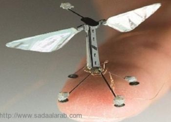 طائرات بلا طيار تحاكي الحشرات