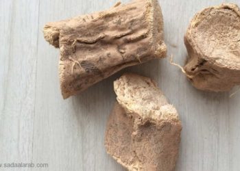 داعية سعودي يطلب من الأطباء بدء الأبحاث: حديث نبوي قد يكشف سر علاج فيروس كورونا