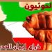 حزب الله والحرس الثوري دربا الحوثيين للسيطرة على اليمن