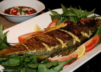 السمك يقوى النظر ويحمى القلب ومضاد للاكتئاب