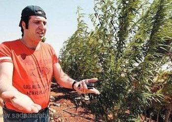 آل زعيتر يطوقون مستشفى الريان.. وهذا مصير نوح زعيتر