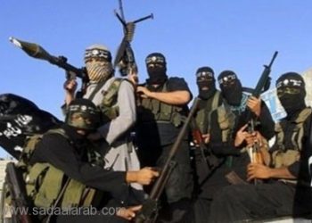 بالاعتدال السني والشيعي .. نقضي على داعش