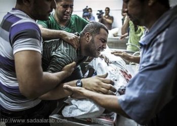 غزة وحيدة.. تقاوم ولا تستسلم.. ترفع رأس العرب وتحرج الحكام