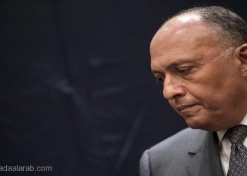 مصر تدعم عملاً عسكرياً ضدّ داعش