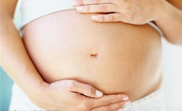 فوائد تناول الأسماك أثناء الحمل