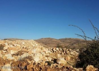 بالتفاصيل: حزب الله يُوقع مجموعة تبديل تل موسى في شباكه!